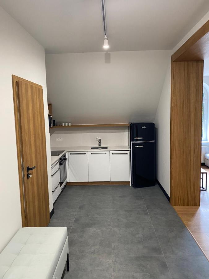 Apartamenty Przy Parku Szwedzkim Щавно-Здруй Экстерьер фото