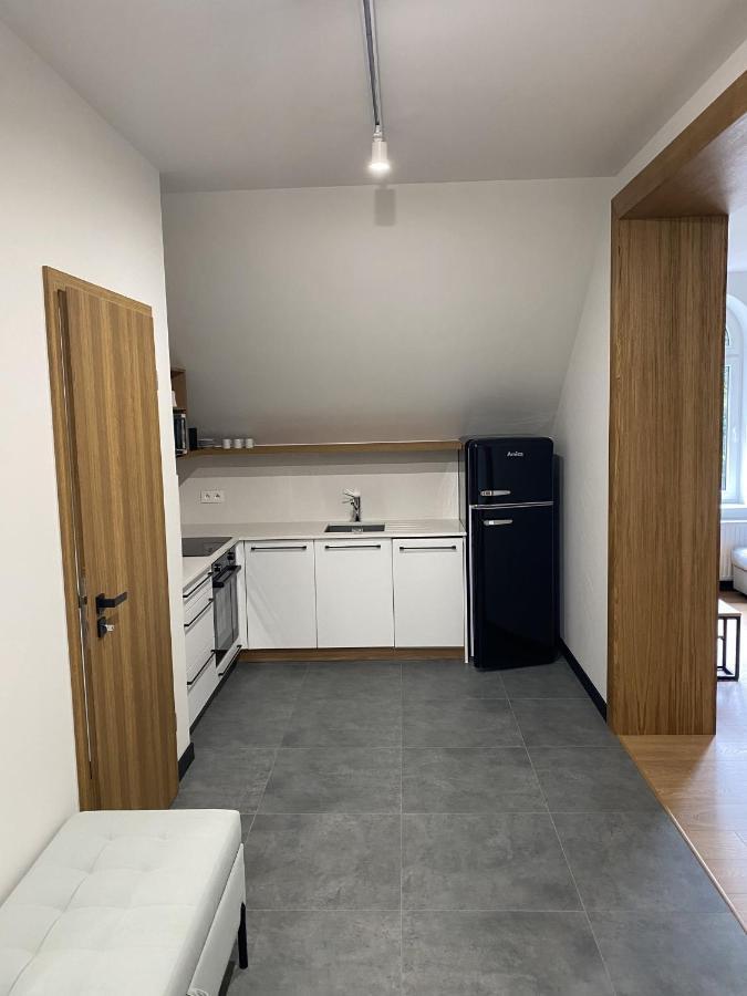 Apartamenty Przy Parku Szwedzkim Щавно-Здруй Экстерьер фото